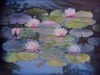 lily-pond-in-blue
