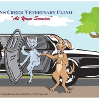 Pets and Limo with Driver modifide