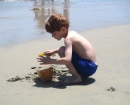 california-beach-david