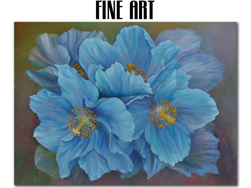 Slideshow-fineart