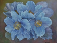 blue-poppies