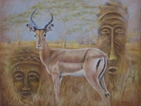 impalla-south-africa