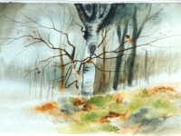 winter-trees