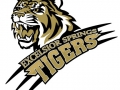 excelsiorspringstiger-b