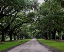 BoonHallPlantation Roadout