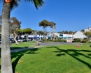 Laguna-Beachgrass