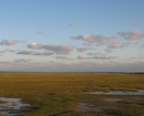 jekel-marsh1