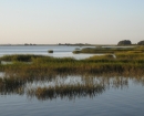 jekel-marsh2