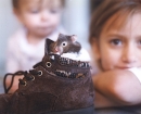 portrait-becca-hamster