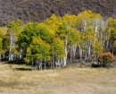 sbs-aspens
