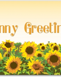notecard-sunnygreetings