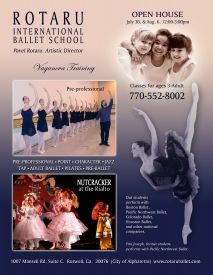 poster-rotaru-2005